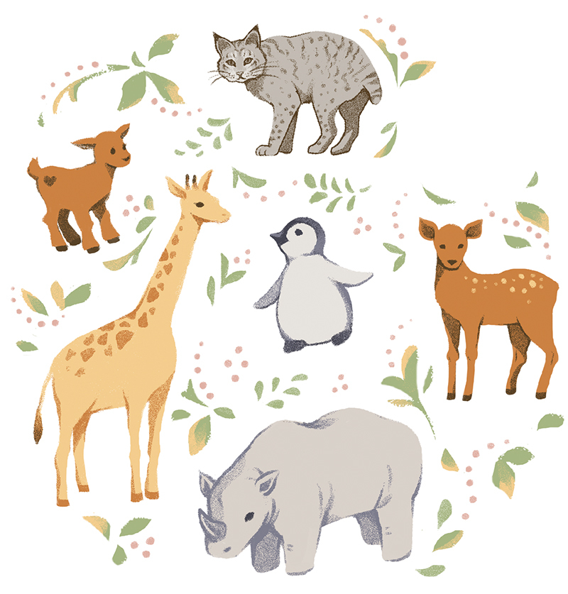 Animal Kingdom Illo