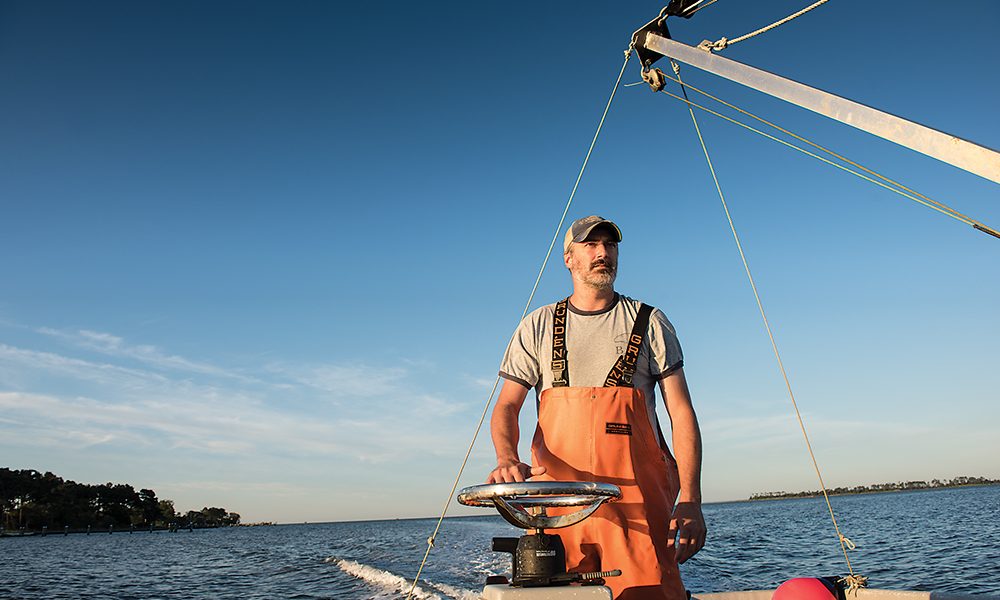 Barren Island Oysters