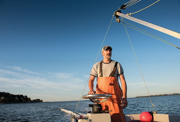 Barren Island Oysters