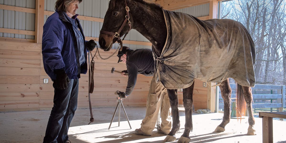 Bev@MD-Racehouse-Rescue-4