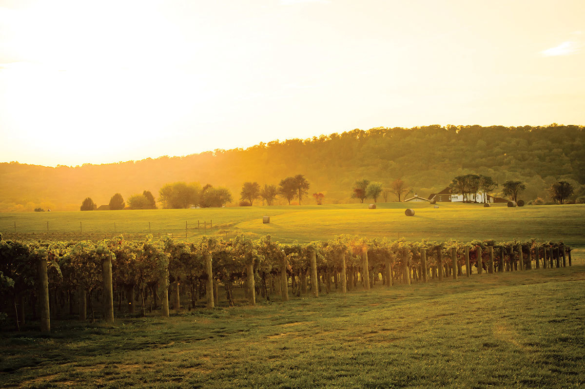 Big Cork Sunset