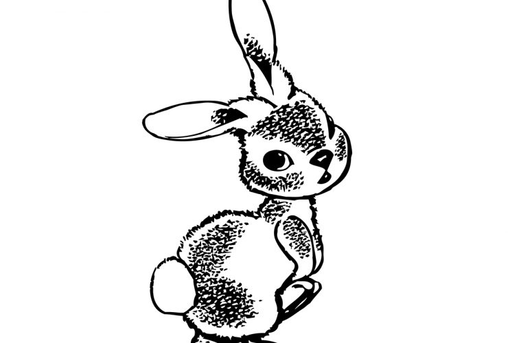 bunny