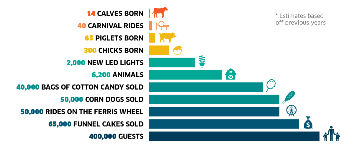 bythenumbers