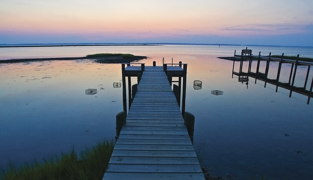 Chincoteague08404crop