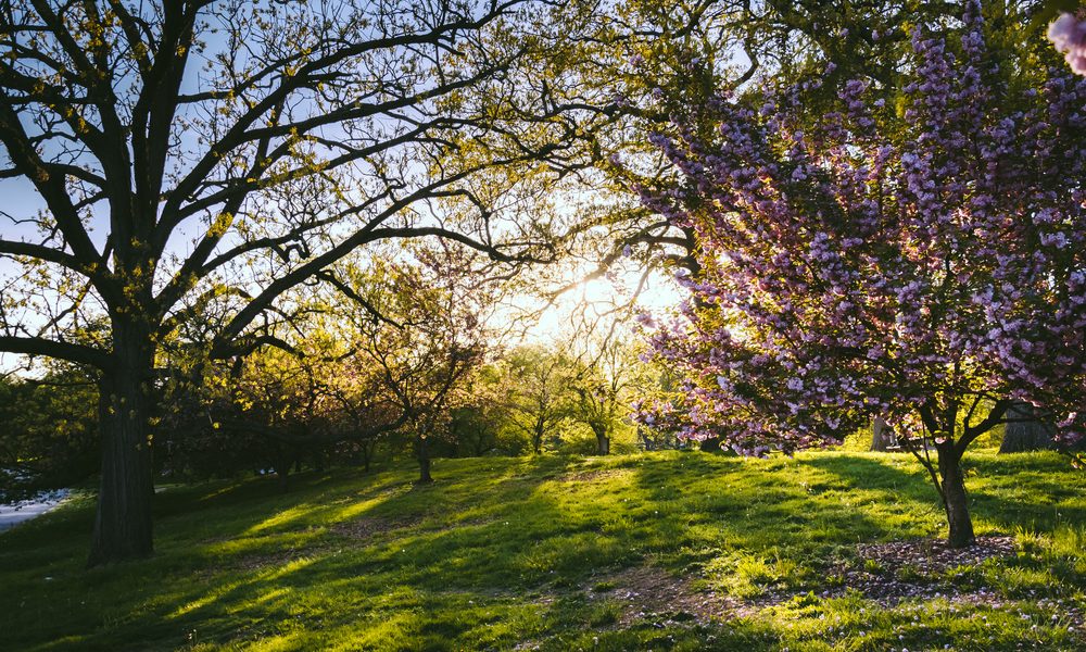 Earth Day Events Baltimore Magazine