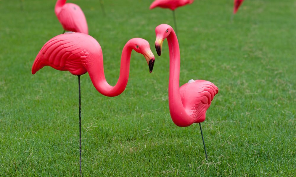 Inventor Of The Plastic Pink Flamingo Passes Away Baltimore Magazine