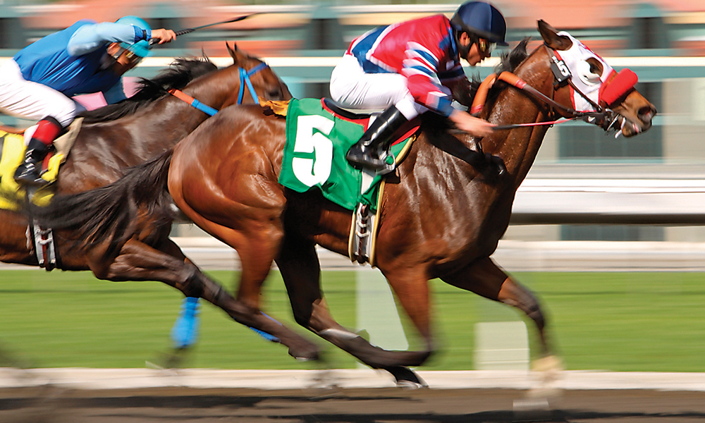 May Launch Preakness May Launch Preakness