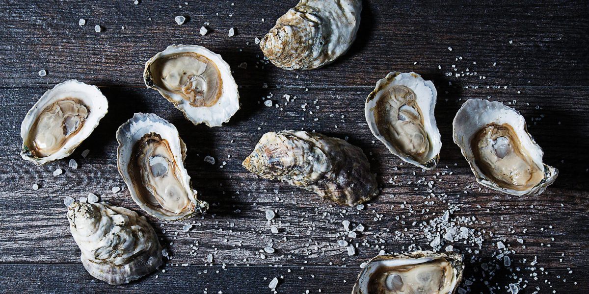 oysters bg fpo