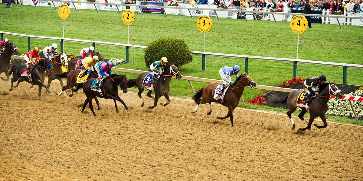 preakness 2013