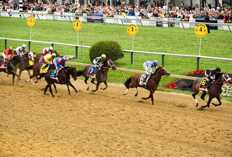 preakness 2013