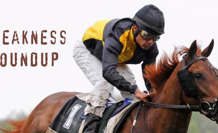 Preakness Roundup