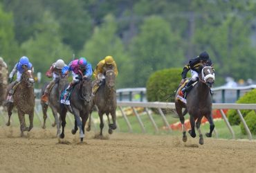 preakness2013flickr