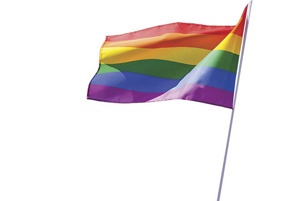pride-flag_clipped.jpg#asset:43710