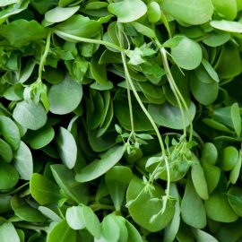 purslane