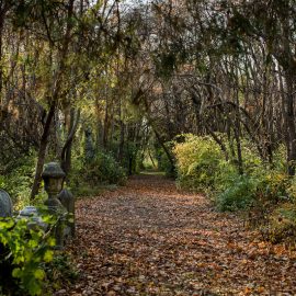 St  Peters Cemetery 8