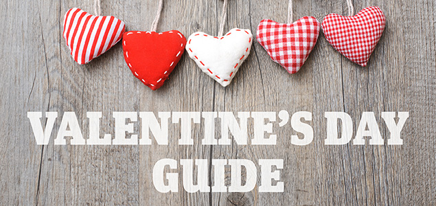 VDAYGUIDE