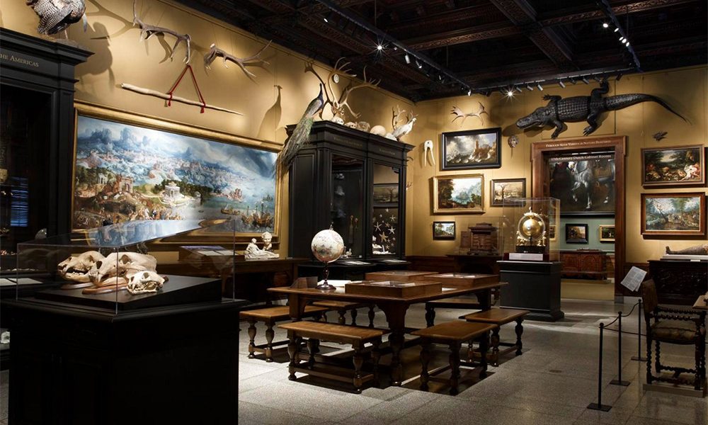 https://www.baltimoremagazine.com/wp-content/uploads/2019/06/walters-taxidermy-1000x600.jpg