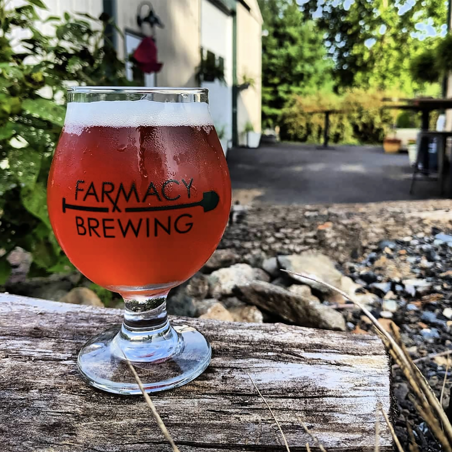 Farmacy Brings a True Farm Brewery Experience to Baltimore County