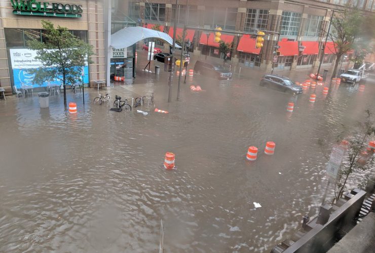 Flooding Whole Foods