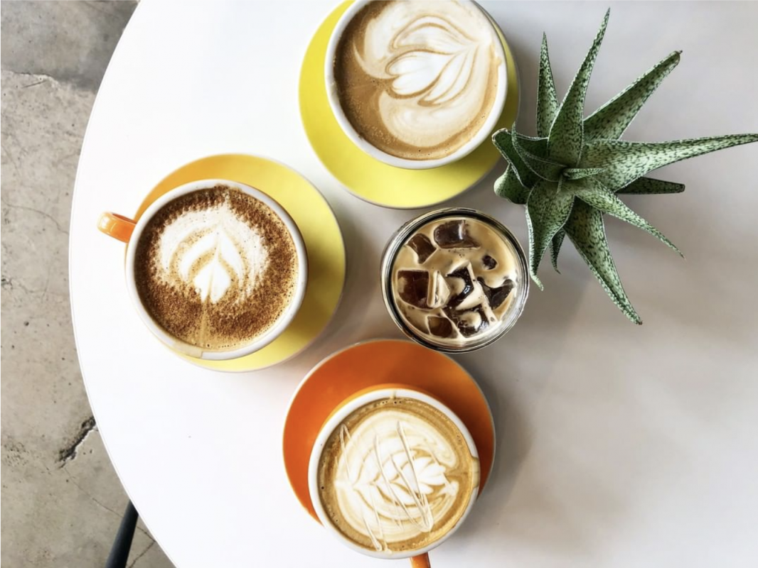Occoffeefall Occoffeefall