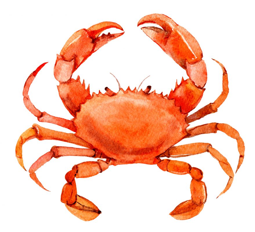 Shutterstock 1105746473 Shutterstock 1105746473