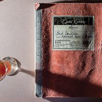 Bad  Decisions Shot Book