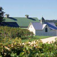 Barns From Driveway