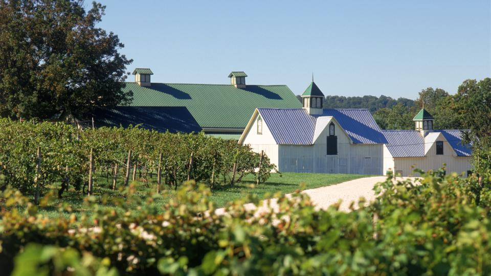Barns From Driveway