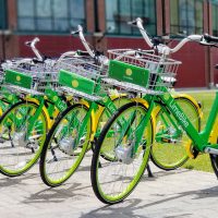 Bikeshare Lime 1