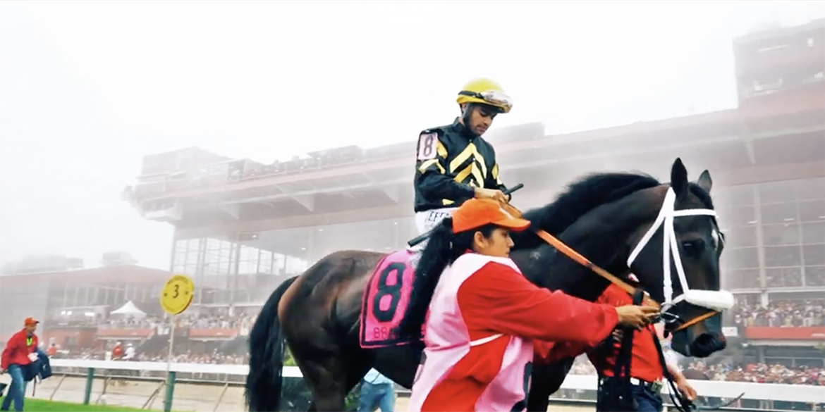 Branded Preakness Hero