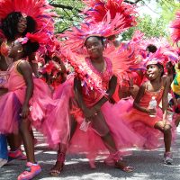 Caribbean Festival pink