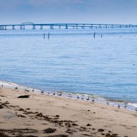 Ches Bay Bridge