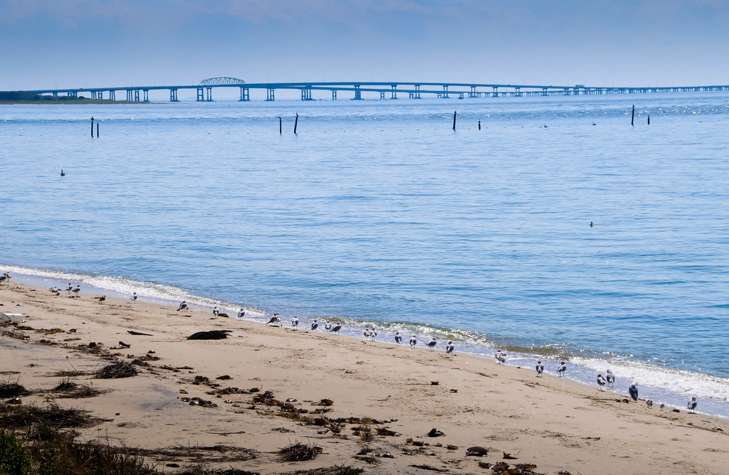 Ches Bay Bridge