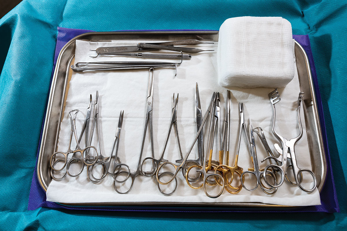 Comestic Surgery Dr Chang 030 Hood