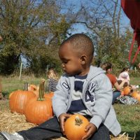 Fall Famiily Festivals Irvine Pumpkin