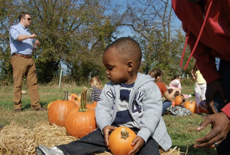 Fall Famiily Festivals Irvine Pumpkin