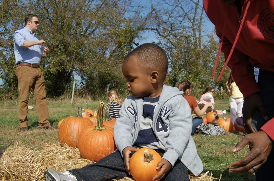Fall Famiily Festivals Irvine Pumpkin