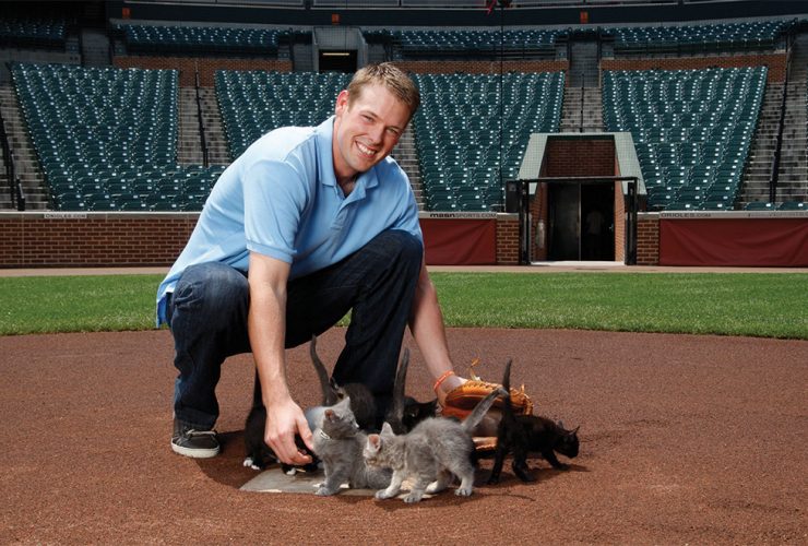 Fr  Wieters Kittens