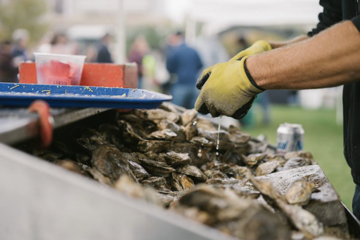 Great Balt Oyster Festival