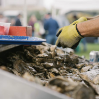 Great Balt Oyster Festival