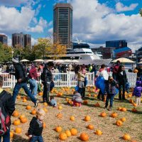 Halloween2016 Harbor Harvest3