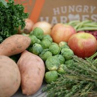 Hungry Harvest Hero4