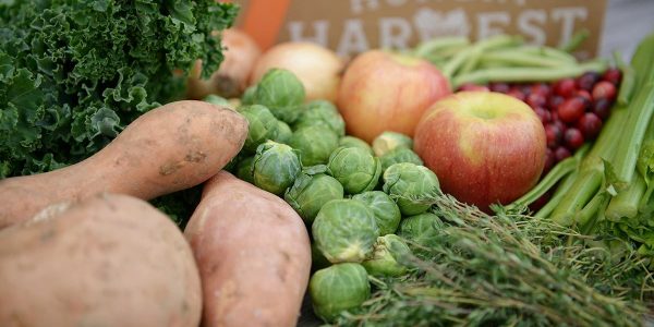 Hungry Harvest Hero4