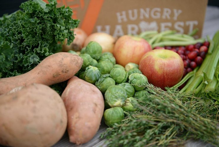 Hungry Harvest Hero4