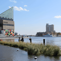 Inner Harbor Healthy Harbor