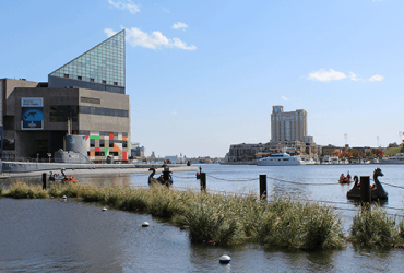 Inner Harbor Healthy Harbor