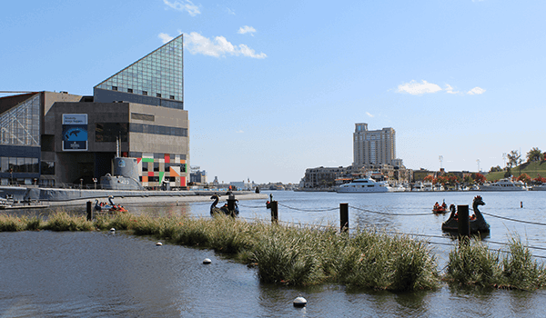 Inner Harbor Healthy Harbor