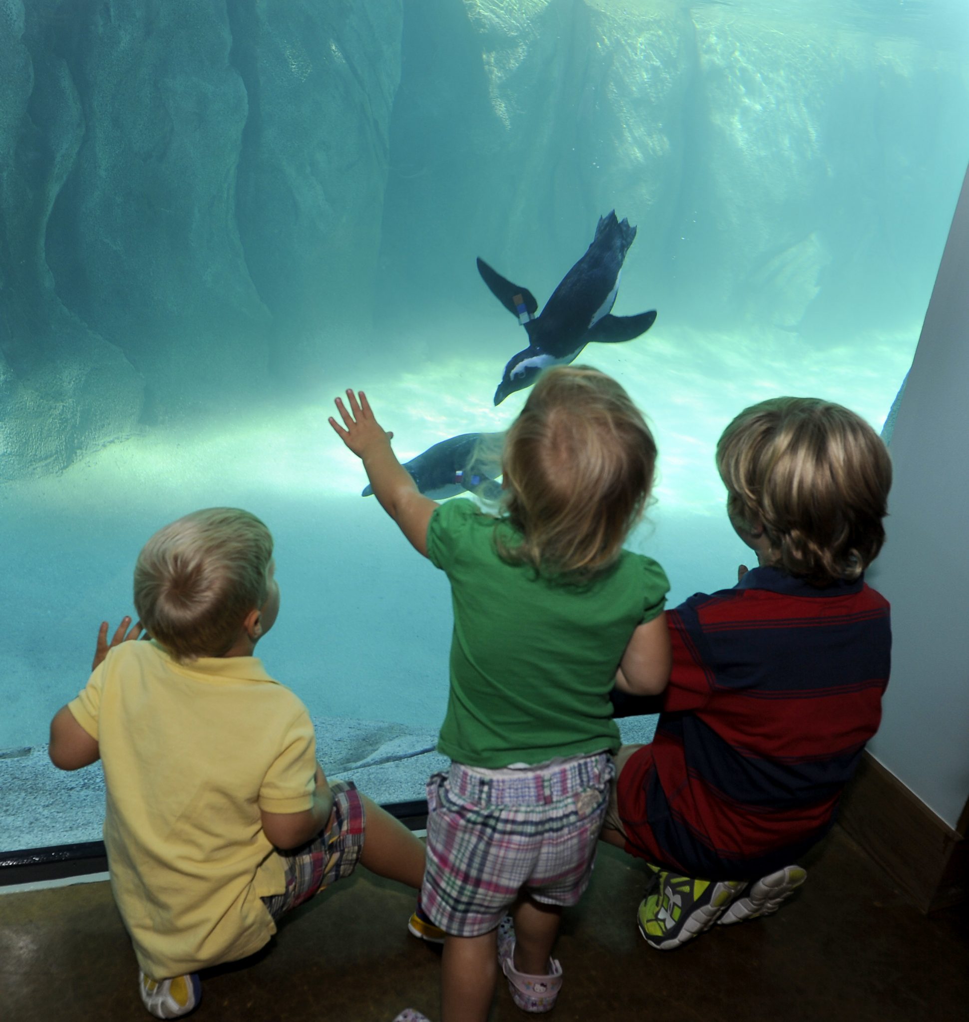 Zoo and Aquarium Win Awards for New Exhibits Baltimore Magazine