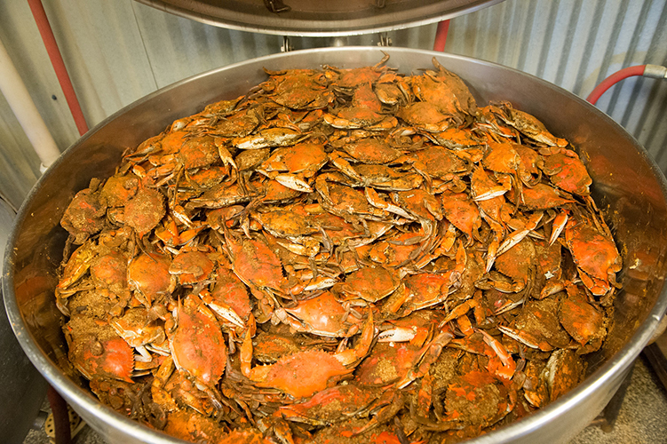 Jimmys Seafood Fest Jimmys Seafood Fest