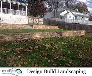 Live Green Landscape Associates